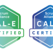 Certified Agile Leadership Essentials + Organisations (CAL E+O), with Michael Sahota, Live-Virtual, 21-23 September 2022